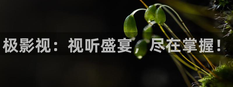 新超碰在线：极影视：视听盛宴，尽在掌握！