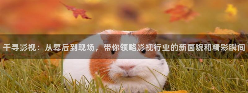 超碰在线免费98：千寻影视：从幕后到现场，带你领略影视行业的新面貌和精彩瞬间