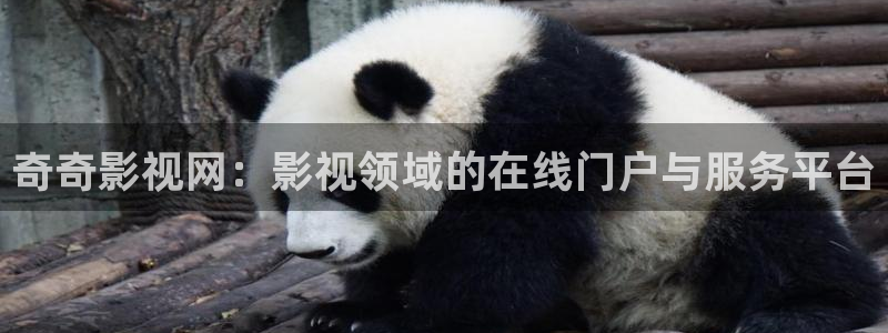 99超碰免费在线：奇奇影视网：影视领域的在线门户与服务平台