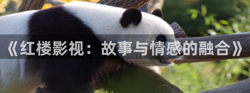 超碰在线99精品：《红楼影视：故事与情感的融合》