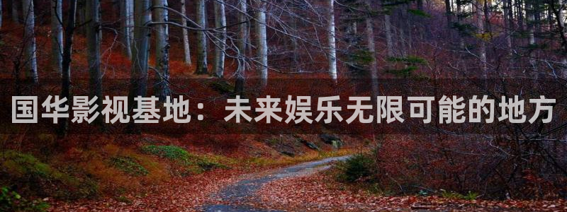 超碰在线有码：国华影视基地：未来娱乐无限可能的地方