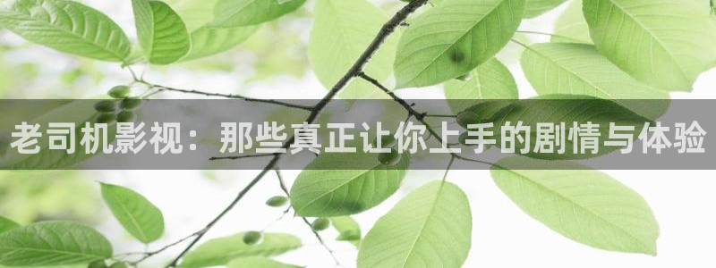 超碰自拍成人在线观看：老司机影视：那些真正让你上手的剧情与体验