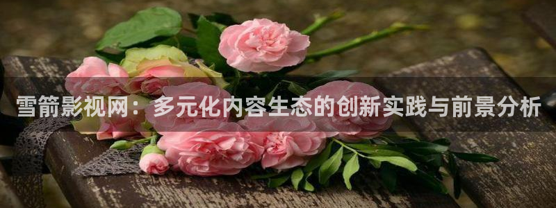 超碰影音：雪箭影视网：多元化内容生态的创新实践与前景分析