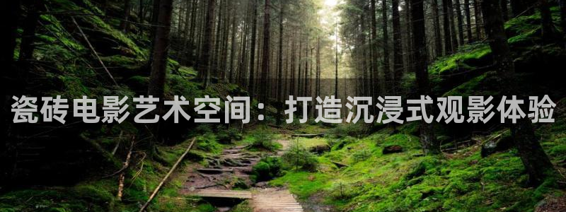 97超碰人人精品：瓷砖电影艺术空间：打造沉浸式观影体验